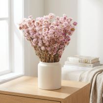 gjenstander Tørkede blomster Bunch Tørrdekorasjon Kamille Rosa 65cm 50g