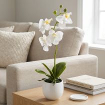 gjenstander Kunstige hvite orkideer i potte Phalaenopsis H33cm