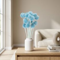gjenstander Craspedia tørkede blomsterdekorasjon til vase, minimalistisk stil, langvarig sommerdekorasjon, 55 cm, 20 stk.