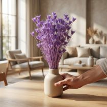 gjenstander Tørkede Nigella-blomsterbuketter, dekorative i stuen, skaper en unik atmosfære, 70 cm, 50 g