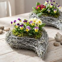 gjenstander Dekorativ hjerteformet plantekasse av slyngplante, hvit, kreativ planteidé til hjem og gave, plastfilm, sett med 4, 15 cm x 23 cm x 5 cm