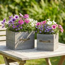 gjenstander Plantekasse treskuff vasket grå 15×15cm/12×12cm sett med 2 stk.