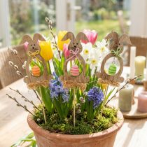 gjenstander Påskehare ved, blomsterplugger påske, kaninplugger 8,5 cm 12 stk.