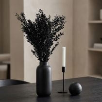 gjenstander Ruscus-grener, dekorative grener, tørkede blomster, svarte – 2. valg – 200 g