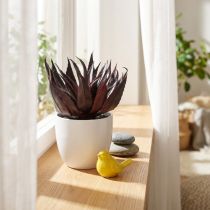gjenstander Kunstig Aloe Vera Plante i Potte Dekorativ Plante Grønn H20cm