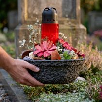gjenstander Oasis Sort Biolit Planteskål Blomsterskål Sort Ø26cm
