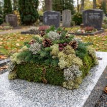 gjenstander Dekorativ mose – ekte mose og lav til blomsteroppsatser 250 g
