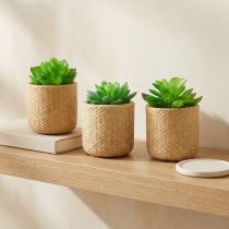 gjenstander Kunstige sukkulenter i potte Kunstige planter Assortert 10cm 3stk