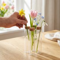 gjenstander Reagensrør dekorativ vase med korklokk Ø4cm H18cm 6 stk