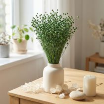 gjenstander Tørket lingress, grønt, 50-55 cm, dekorativ DIY