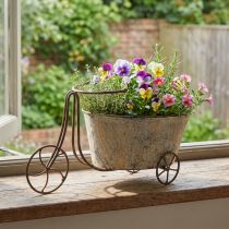 gjenstander Plantesykkel blomsterpotte sykkel rustgrå 34×16×18cm