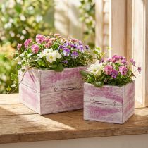 gjenstander Planteskuff med håndtak rosa hvit tre 12/15cm sett med 2 stk