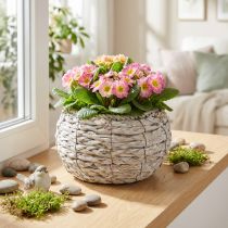 gjenstander Hvitvasket rund plantekurv Ø22cm H13cm blomsterpottedekorasjon