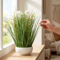gjenstander Dekorativt gress med Cosmea blomster i en bolle H45cm