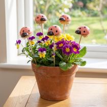 gjenstander Ladybug dekorative blomsterplugger trefarget 3,5cm 24 stk