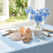gjenstander Skalldekorasjon sjøsnegl natur 350g × 3stk