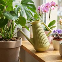 gjenstander Vannkanne til innendørs bruk, olivengrønn, retrostil, 24,5 cm, 1,8 l, designervannkanne, plast, plantevanning