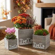 gjenstander Trebiter med sopp, høstdekorasjon, planteeske 20/16/12 cm, sett med 3