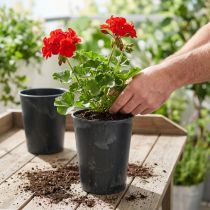 gjenstander Plantepotte plast antrasitt Ø13cm H16,5cm 4stk