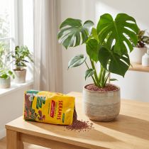 gjenstander Seramis plantegranulat for stueplanter 2,5l