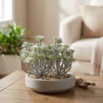 gjenstander Stonecrop Kunstige Sukkulenter Kunstige Planter 16cm 4 stk