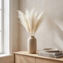 gjenstander Tørkede blomster, sølvgress. Elegant naturlig dekorasjon for hjem og kontor. 70 cm, 10 stk.