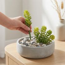 gjenstander Kunstig sukkulentblomst for vedlikeholdsfri design av oppholdsrom og kontorer, 15 cm, 6 stk.