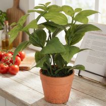 gjenstander Kunstig Basilikum i Potte Urtepotte Kunstig Plante 22cm 2stk