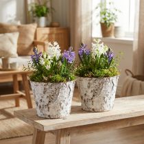 gjenstander Dekorativ potte hvitet bjørk plantepotte Ø18cm H15cm 2stk