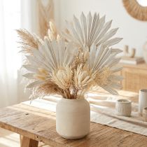 gjenstander Palmspear Sun mini hvitkalket 50 stk