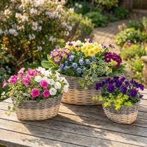 gjenstander Flettkurv for planting Planteskål L29/33/38cm sett med 3 stk