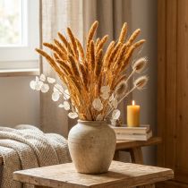 gjenstander Tørkede blomster Setaria Pumila Orange, børstehår hirse dekorative korn 72cm 200g