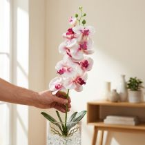 gjenstander Orkidé Phalaenopsis kunstig 9 blomster hvit fuchsia 96cm