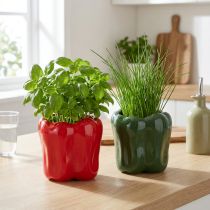 gjenstander Paprika keramisk blomsterpotte for moderne kjøkkeninnredning, egnet for enhver interiørstil, 13 cm, 2 stk.