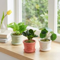 gjenstander Kunstige grønne planter miniplanter i potte 15cm 3stk