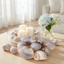gjenstander Naturlige snegleskall 1 kg