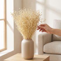 gjenstander Tørket gresslin tørket naturlig bleket 50-55 cm 180 g