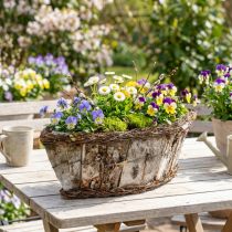 gjenstander Planteskål oval jardiniere bjørkebarkranker 36x13x12cm