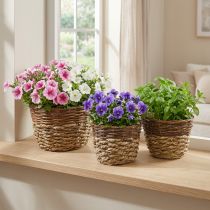 gjenstander Naturlig kurv for planting, kurvdekorasjon, planteskåler natur L21/19/16cm H21/19/16cm sett med 3 stk.