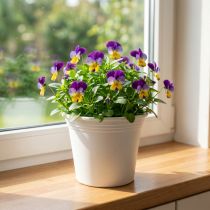 gjenstander Plastgryte “Irys” hvit Ø15cm H13cm 1 stk