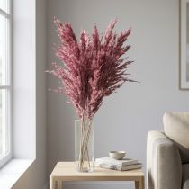 gjenstander Tørket sivgress, tørket dekorativt gress, antikk rose, 75 cm, 10 stk.