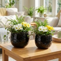 gjenstander Blomsterpotte Keramikk Egg Sort Plantepotte Sort Ø12cm 2stk