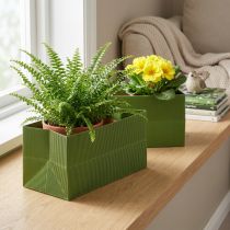 gjenstander Blomsterplantekasse Langribbet Grønn Olivengrønn 24x12cm 6 stk