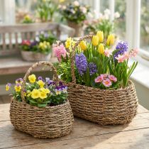 gjenstander Plantekurv med håndtak kurv blomsterkurv L23/35cm sett med 2