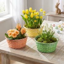gjenstander Plantekurv rund Ø25cm oransje, gul, grønn 6 stk