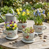 gjenstander Plantepottebeger med tallerken vintage grå, naturtone Ø8cm H6,5cm 4 stk