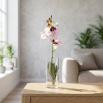 gjenstander Kunstig Phalaenopsis-orkidé, hvit og lilla, 43 cm