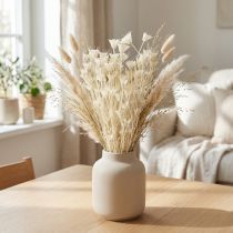 gjenstander Nigella Orientalis Tørkede Blomster Svart Spisskummen Hvit 50cm 100g