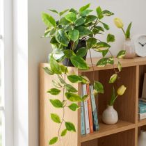 gjenstander Philodendron Scindapsus med potte, lett å ta vare på - ideell for kontor og hjem 32cm