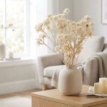 gjenstander Tørket blomstertistelgren Bleket 80g